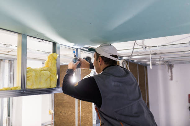 Best Residential Insulation in Nettleton, MS