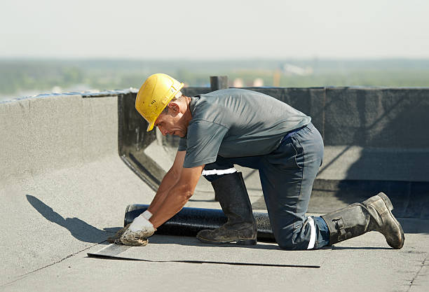 Best Insulation Installation Services in Nettleton, MS